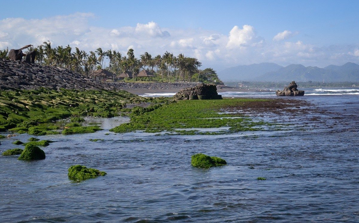 Top 5 beaches in Bali