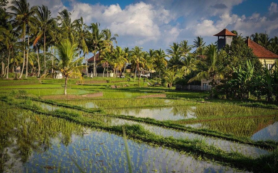 15 things to do in Bali