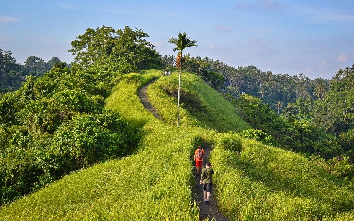 TOP-5 Amazing free places to visit in Bali.