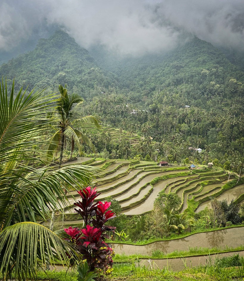 Sekumpul and Lemukih Waterfalls - the real magic of Bali