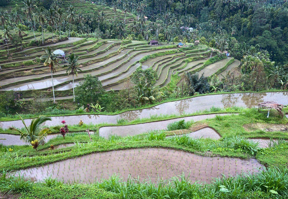 Sekumpul and Lemukih Waterfalls - the real magic of Bali