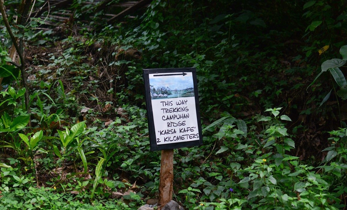 Artist's Trail or the Campuhan Ridge walk in Ubud