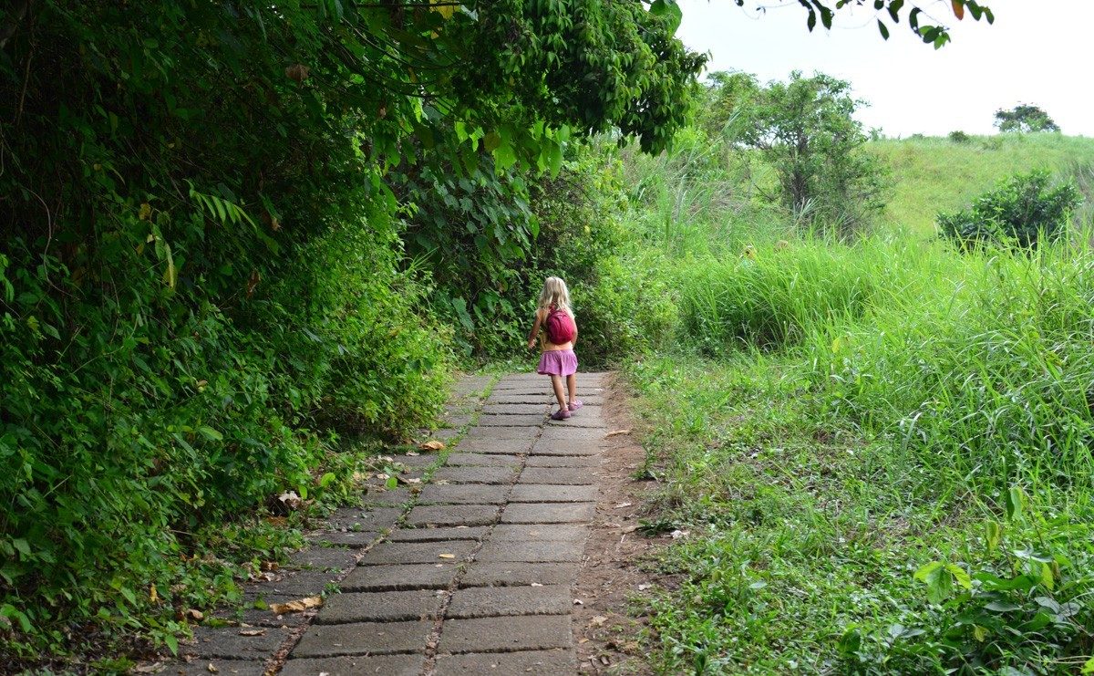 Artist's Trail or the Campuhan Ridge walk in Ubud