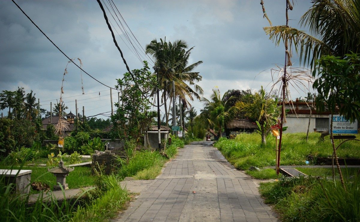 Artist's Trail or the Campuhan Ridge walk in Ubud