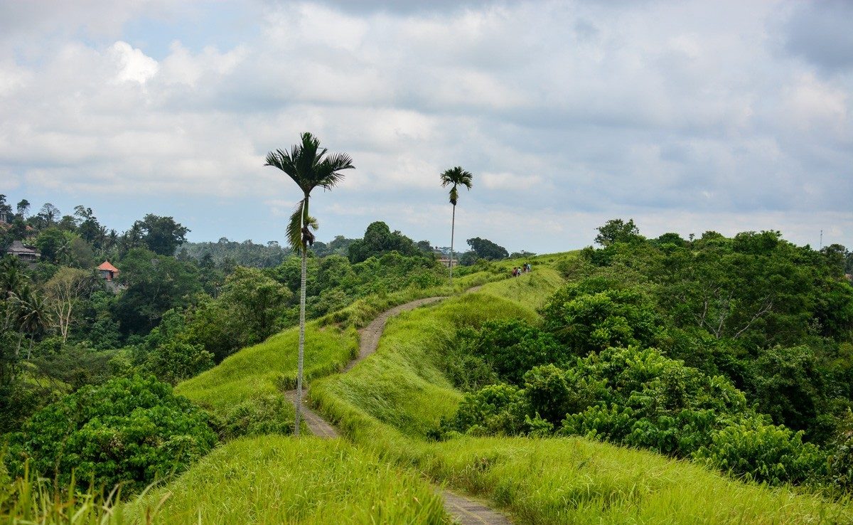 Artist's Trail or the Campuhan Ridge walk in Ubud