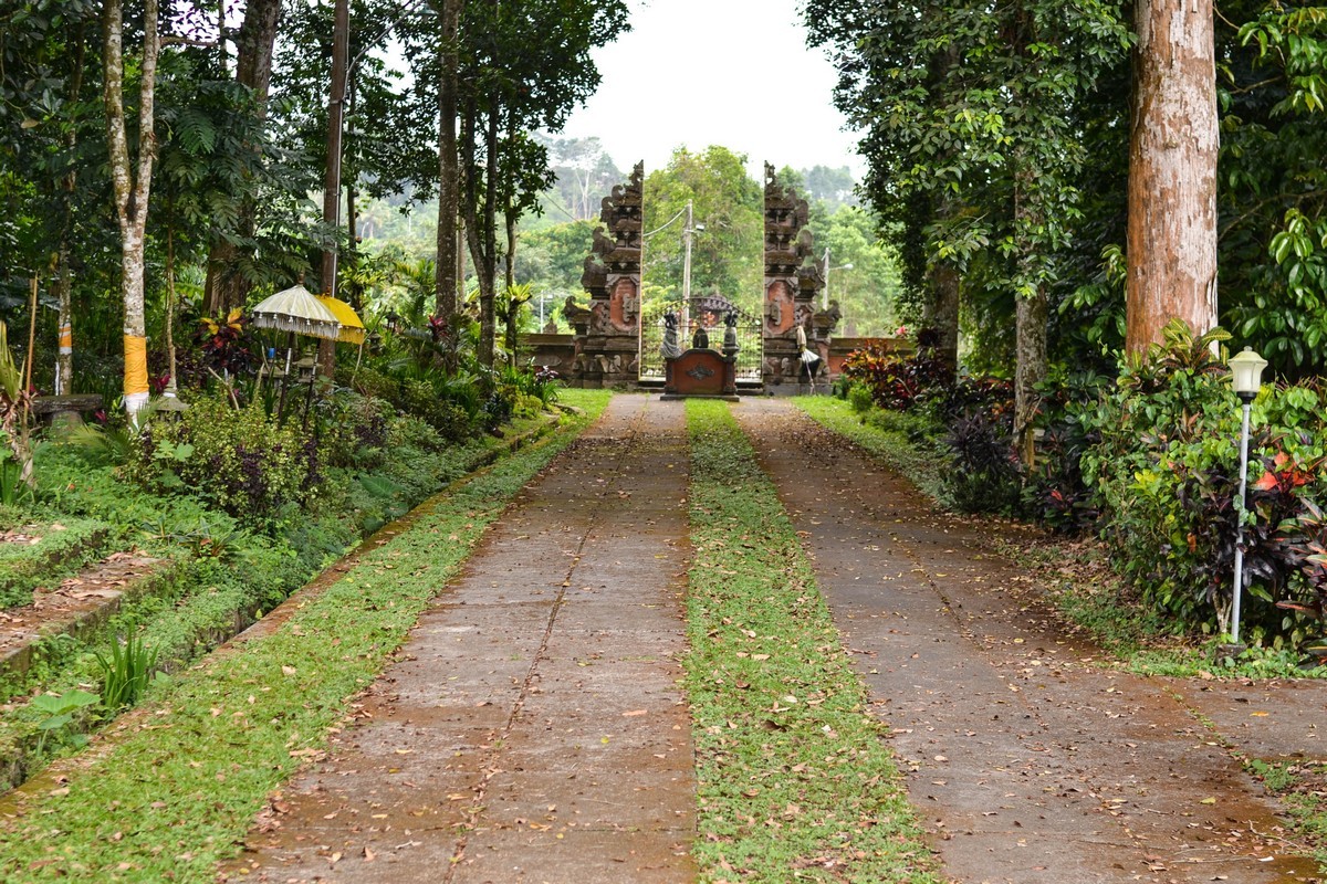 The most beautiful rice terraces on the island of Bali - Jatiluwih.