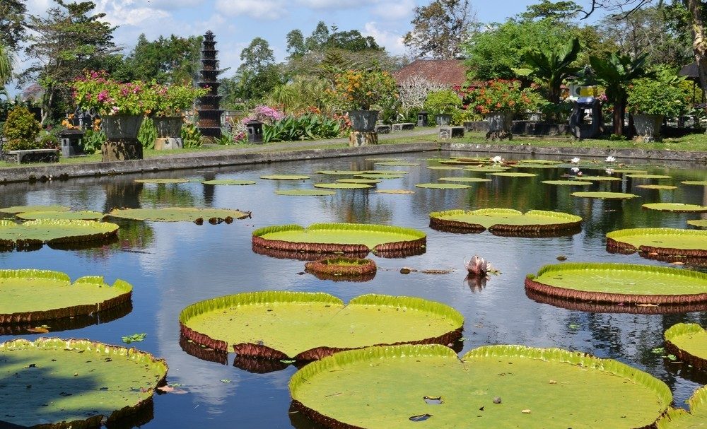 Tirta Gangga, the Royal Water Palace