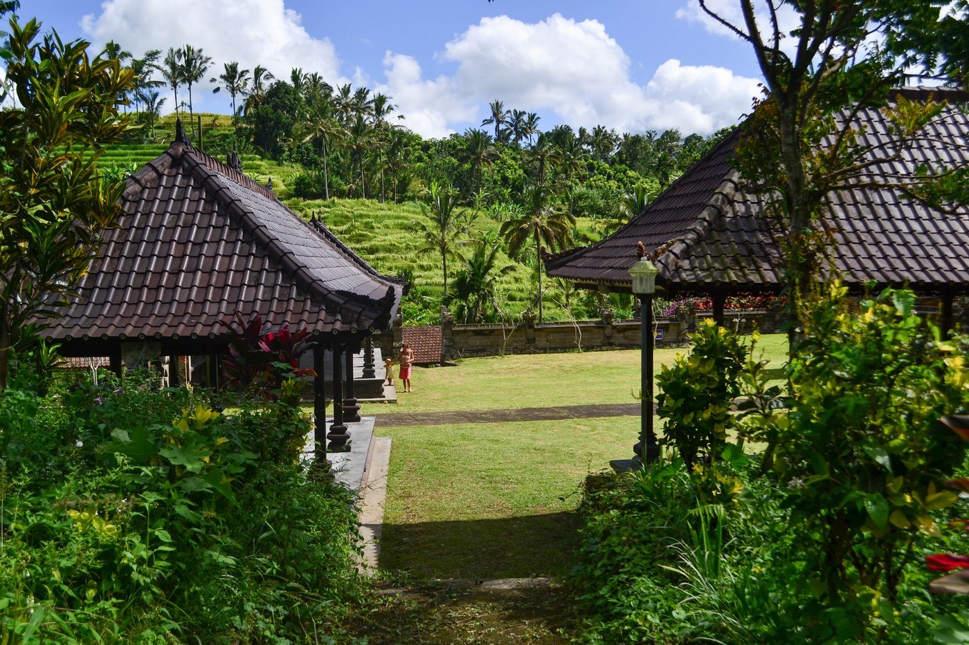 The most beautiful rice terraces on the island of Bali - Jatiluwih.