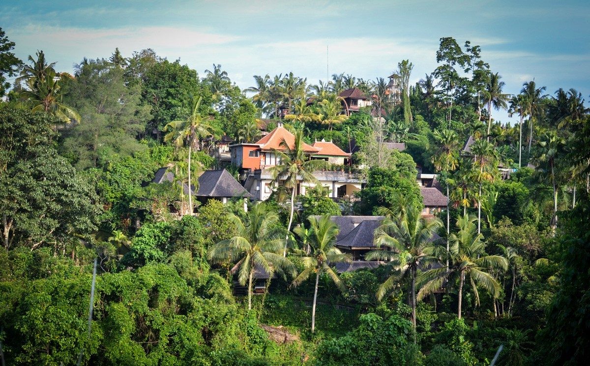 Artist's Trail or the Campuhan Ridge walk in Ubud