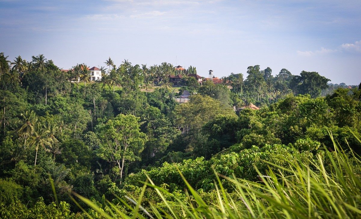 Artist's Trail or the Campuhan Ridge walk in Ubud