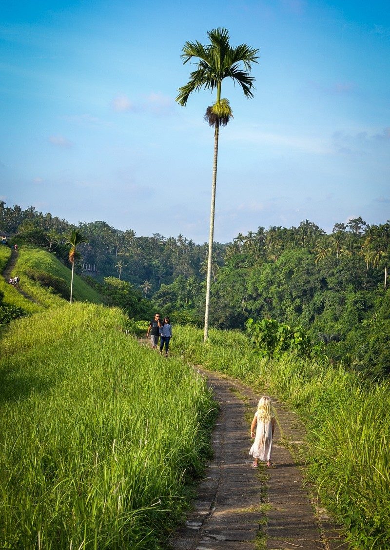 Artist's Trail or the Campuhan Ridge walk in Ubud